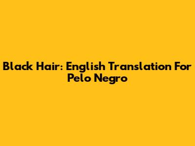 Black Hair: English Translation For 'Pelo Negro'