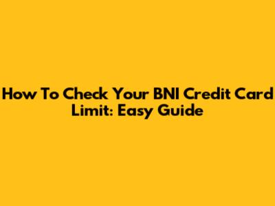 How To Check Your BNI Credit Card Limit: Easy Guide
